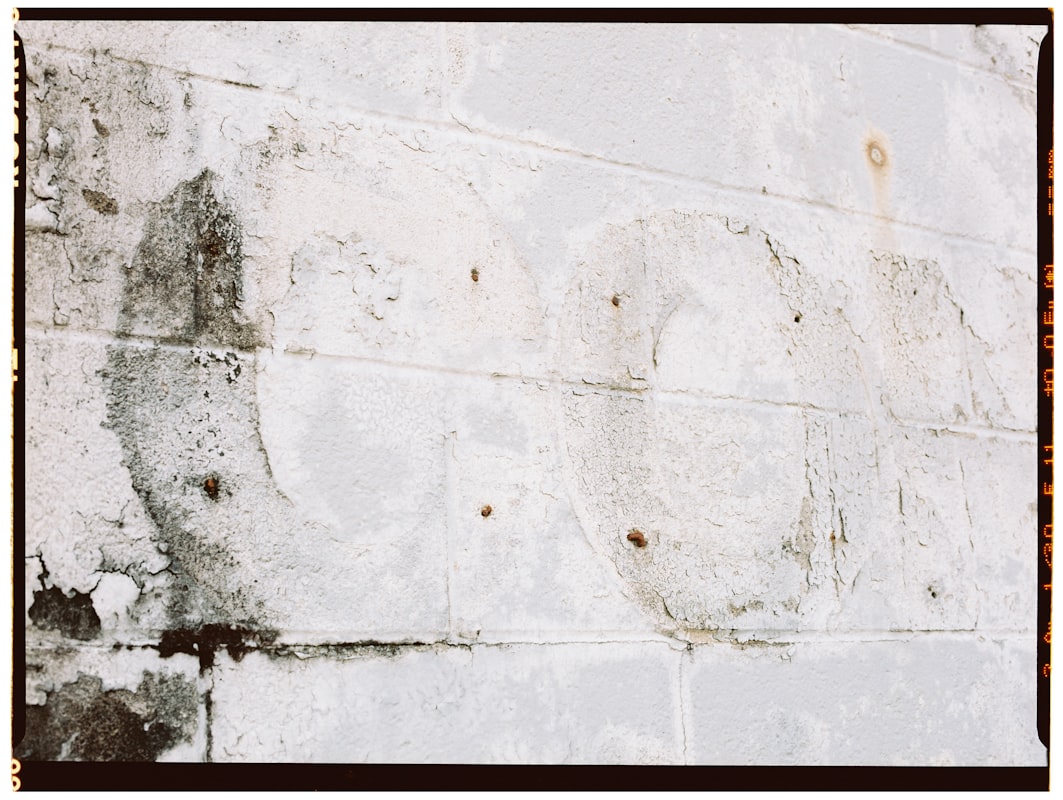 Sewage Cleanup service in Orland Park, IL